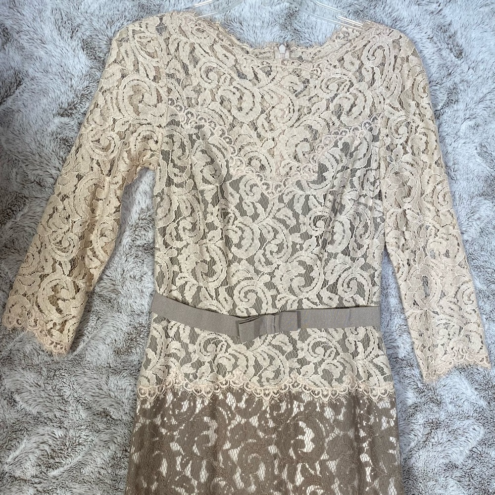 Tadashi Shoji Formal Lace Evening Gown Neutral Mother of Bride Elegant Size 6 - Picture 5 of 14